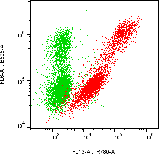 Rabbit-anti EFNA3 monoclonal antibody