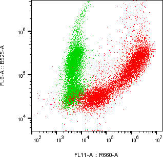Rabbit-anti GUCA2B monoclonal antibody