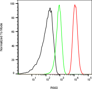 Rabbit-anti PSAP monoclonal antibody