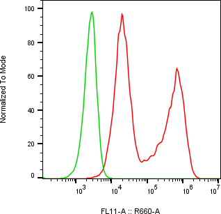 Rabbit-anti ITIH3 monoclonal antibody
