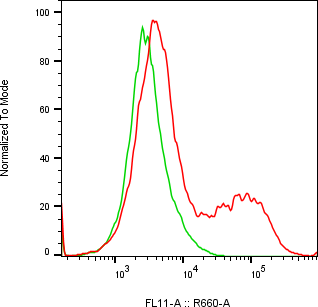Rabbit-anti LCN15 monoclonal antibody
