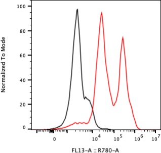 Rabbit-anti RBP4 monoclonal antibody