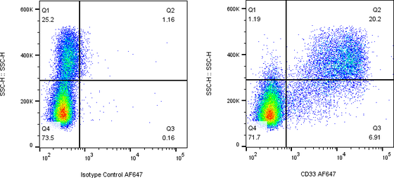 Rabbit-anti CD33 monoclonal antibody