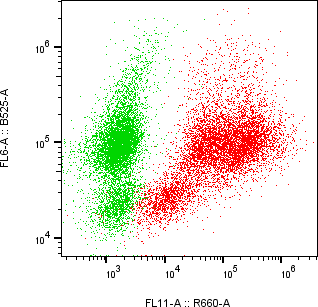 Rabbit-anti EpCAM monoclonal antibody