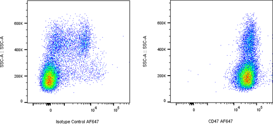 Rabbit-anti CD47 monoclonal antibody