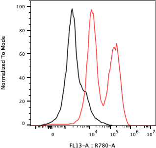 Rabbit-anti CGB8 monoclonal antibody
