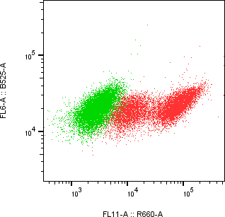 Rabbit-anti SAA1 monoclonal antibody