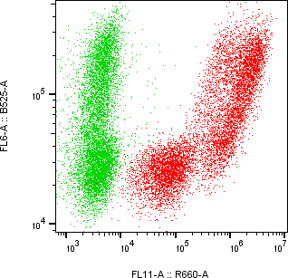 Rabbit-anti AMY2A monoclonal antibody