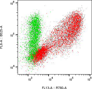 Rabbit-anti C1S monoclonal antibody