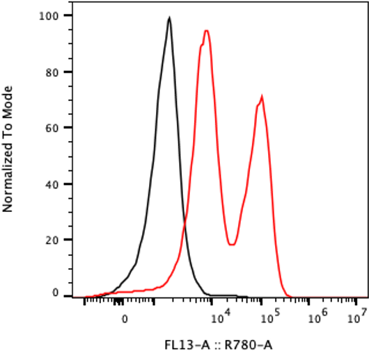 Rabbit-anti BST1 monoclonal antibody