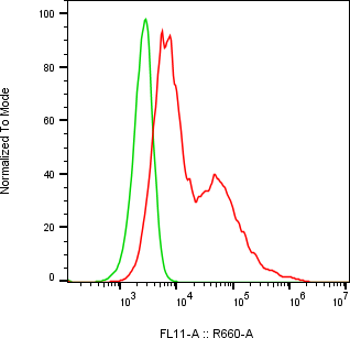 Rabbit-anti ITIH3 monoclonal antibody
