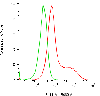 Rabbit-anti WIF1 monoclonal antibody