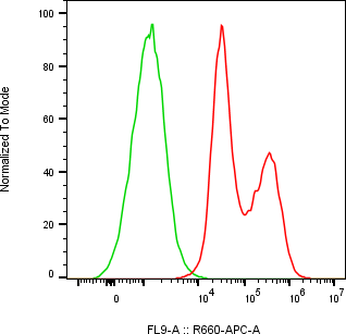 Rabbit-anti TTR monoclonal antibody
