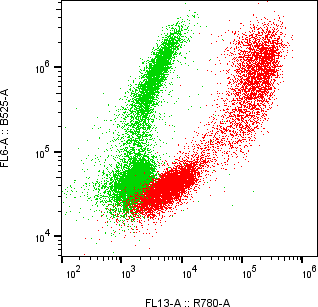 Rabbit-anti PD-1 monoclonal antibody