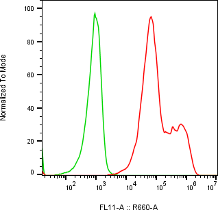 Rabbit-anti NCSTN monoclonal antibody