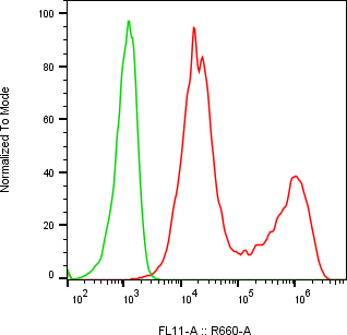 Rabbit-anti CRLF2 monoclonal antibody