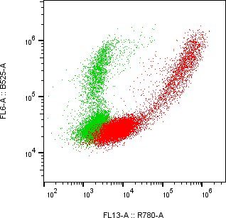 Rabbit-anti SERPINA1 monoclonal antibody