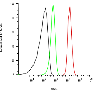 Rabbit-anti CA9 monoclonal antibody