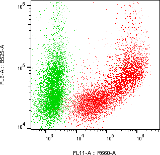 Rabbit-anti HEPACAM monoclonal antibody