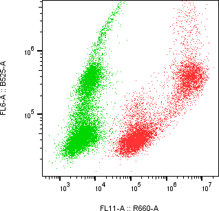 Rabbit-anti IL18BP monoclonal antibody