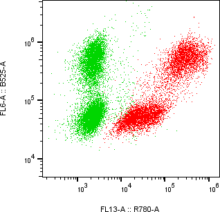 Rabbit-anti RBP4 monoclonal antibody