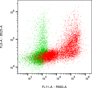 Rabbit-anti CDH17 monoclonal antibody