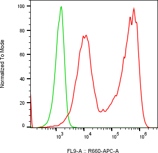 Rabbit-anti SFTPD monoclonal antibody