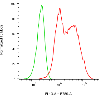 Rabbit-anti CXCL5 monoclonal antibody