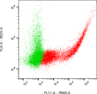 Rabbit-anti NTRK3 monoclonal antibody