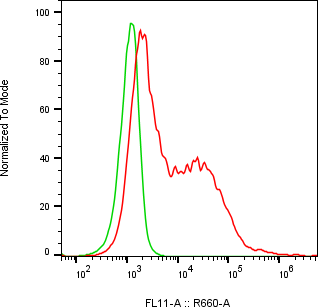 Rabbit-anti VSIG2 monoclonal antibody
