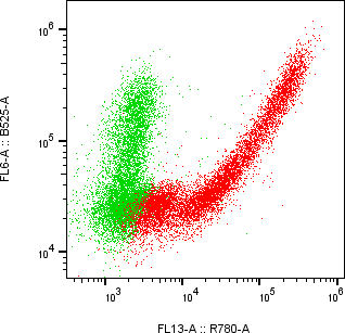 Rabbit-anti C1QTNF1 monoclonal antibody
