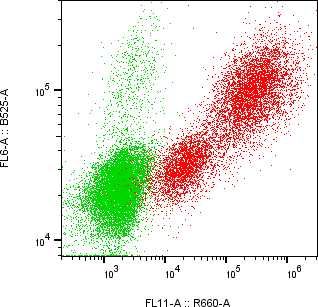 Rabbit-anti SPINK2 monoclonal antibody