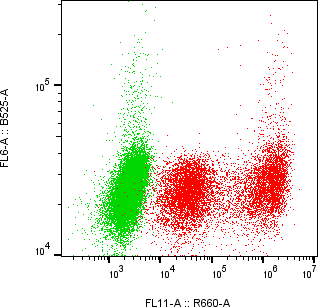 Rabbit-anti ITIH3 monoclonal antibody