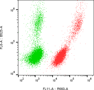 Rabbit-anti F11R monoclonal antibody
