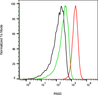 Rabbit-anti PNLIP monoclonal antibody