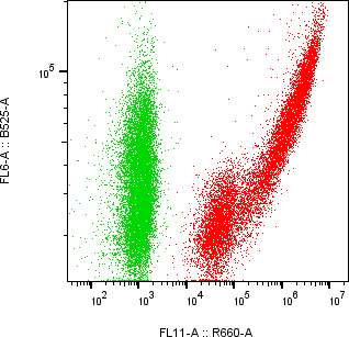 Rabbit-anti COL3A1 monoclonal antibody