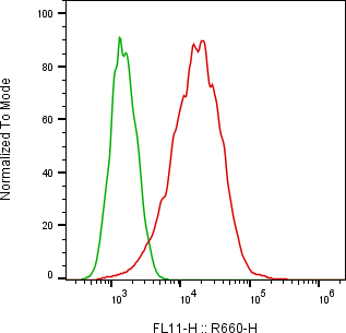 Rabbit-anti L1CAM monoclonal antibody