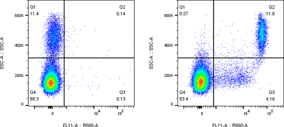 Rabbit-anti LILRA5 monoclonal antibody
