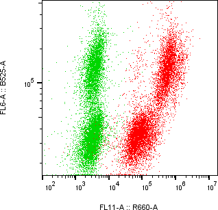Rabbit-anti TIMP1 monoclonal antibody