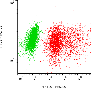 Rabbit-anti TNFRSF1B monoclonal antibody