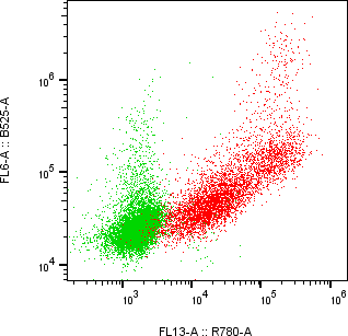 Rabbit-anti TPBG monoclonal antibody