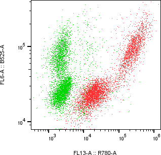 Rabbit-anti CTHRC1 monoclonal antibody