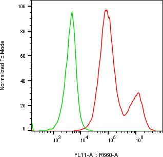 Rabbit-anti PEBP4 monoclonal antibody