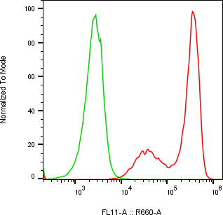 Rabbit-anti EPYC monoclonal antibody