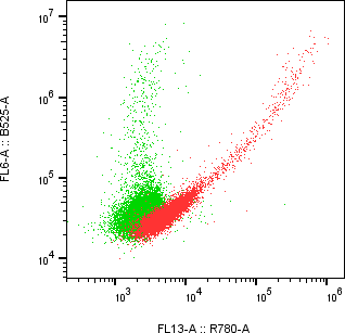Rabbit-anti KIRREL1 monoclonal antibody