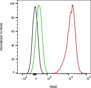 Rabbit-anti DKK1 monoclonal antibody