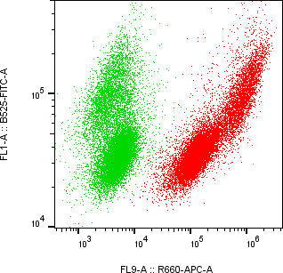 Rabbit-anti RNASE3 monoclonal antibody