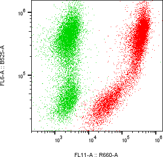 Rabbit-anti EPYC monoclonal antibody