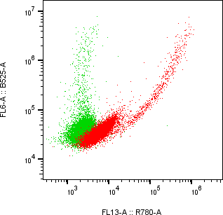 Rabbit-anti KIRREL1 monoclonal antibody