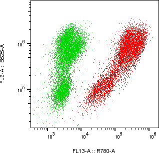 Rabbit-anti CCL18 monoclonal antibody
